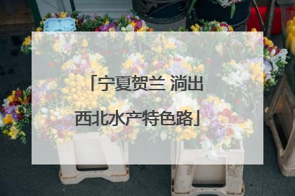 宁夏贺兰 淌出西北水产特色路