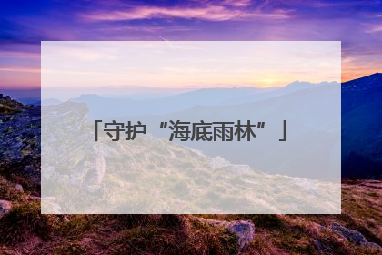 守护“海底雨林”