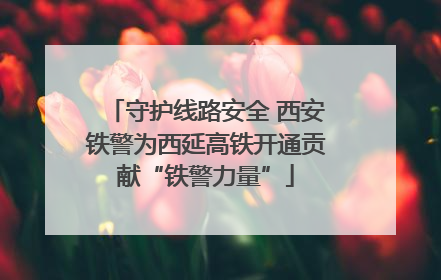 守护线路安全 西安铁警为西延高铁开通贡献“铁警力量”