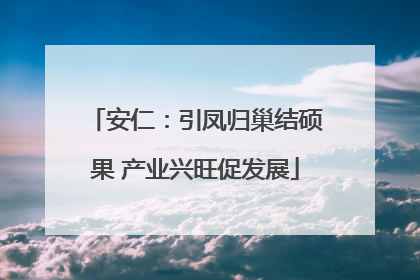 安仁：引凤归巢结硕果 产业兴旺促发展