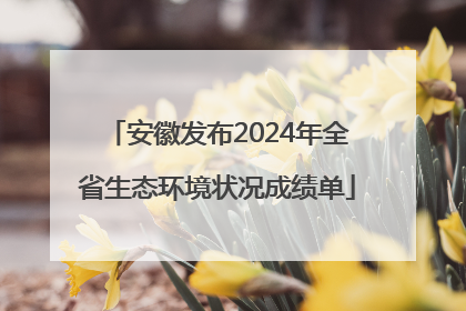 安徽发布2024年全省生态环境状况成绩单