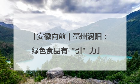 安徽向前｜亳州涡阳：绿色食品有“引”力