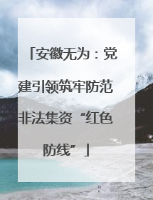 安徽无为：党建引领筑牢防范非法集资“红色防线”