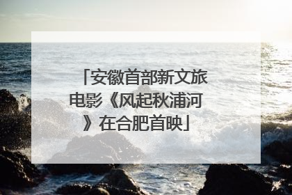 安徽首部新文旅电影《风起秋浦河》在合肥首映