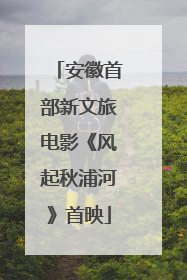 安徽首部新文旅电影《风起秋浦河》首映
