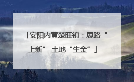 安阳内黄楚旺镇：思路“上新” 土地“生金”