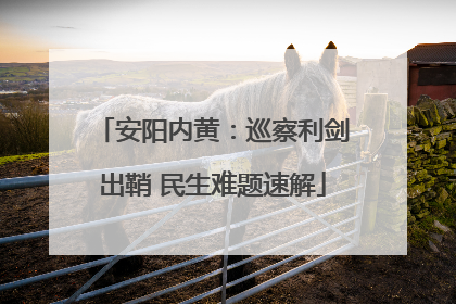 安阳内黄：巡察利剑出鞘 民生难题速解