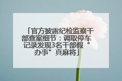 官方披露纪检监察干部查案细节：调取停车记录发现3名干部假“办事”真麻将
