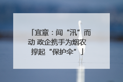 宜章：闻“汛”而动 政企携手为烟农撑起“保护伞”