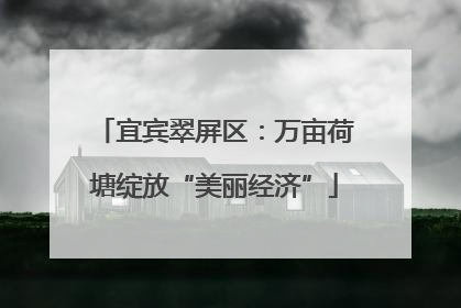 宜宾翠屏区：万亩荷塘绽放“美丽经济”