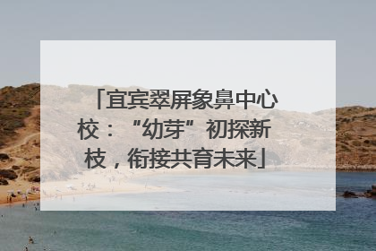 宜宾翠屏象鼻中心校：“幼芽”初探新枝，衔接共育未来