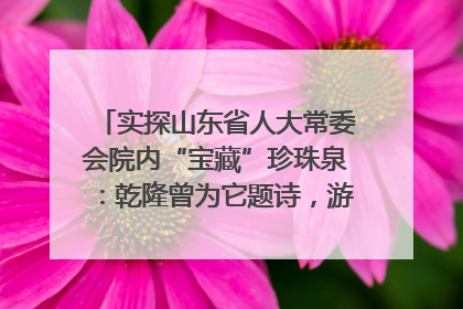 实探山东省人大常委会院内“宝藏”珍珠泉:乾隆曾为它题诗,游客无需预约免费游览