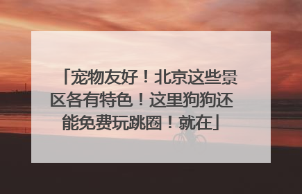 宠物友好！北京这些景区各有特色！这里狗狗还能免费玩跳圈！就在