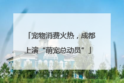 宠物消费火热，成都上演“萌宠总动员”