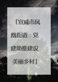 宣威市凤凰街道：党建助推建设美丽乡村