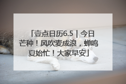 壹点日历6.5｜今日芒种！风吹麦成浪，蝉鸣夏始忙！大家早安