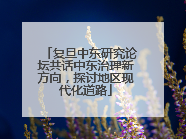复旦中东研究论坛共话中东治理新方向，探讨地区现代化道路