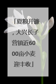 夏粮开镰，大兴长子营镇近6000亩小麦迎丰收