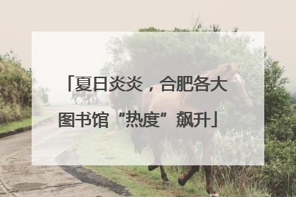 夏日炎炎，合肥各大图书馆“热度”飙升