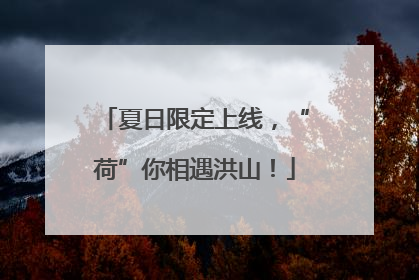 夏日限定上线，“荷”你相遇洪山！