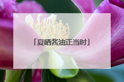 夏晒酱油正当时
