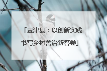 夏津县：以创新实践书写乡村善治新答卷