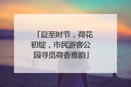 夏至时节，荷花初绽，市民游客公园寻觅荷香雅韵
