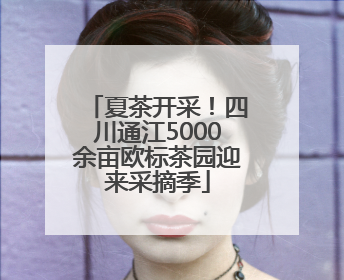 夏茶开采！四川通江5000余亩欧标茶园迎来采摘季