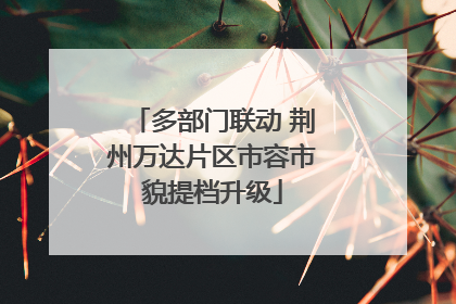 多部门联动 荆州万达片区市容市貌提档升级