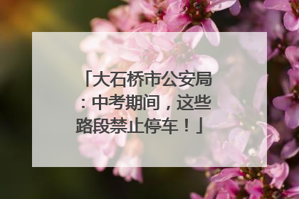大石桥市公安局：中考期间，这些路段禁止停车！