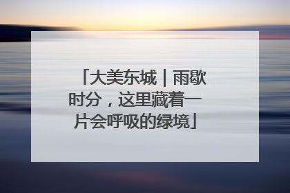 大美东城｜雨歇时分，这里藏着一片会呼吸的绿境
