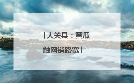 大关县：黄瓜触网销路宽