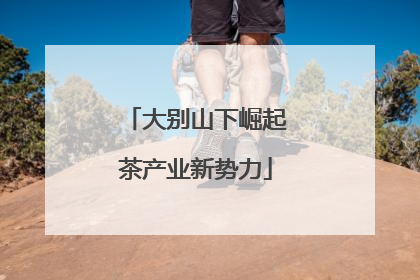 大别山下崛起茶产业新势力