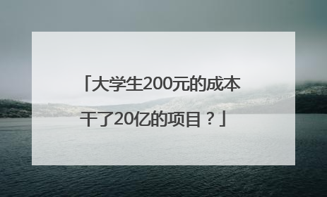 大学生200元的成本干了20亿的项目？