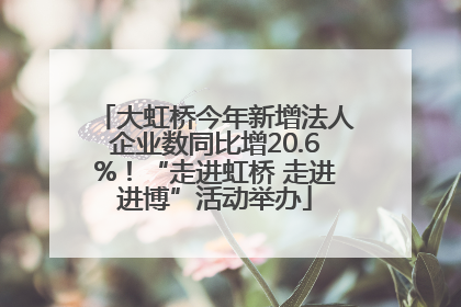 大虹桥今年新增法人企业数同比增20.6%！“走进虹桥 走进进博”活动举办