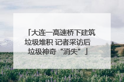 大连一高速桥下建筑垃圾堆积 记者采访后垃圾神奇“消失”