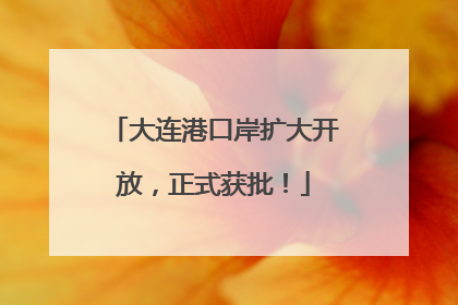 大连港口岸扩大开放，正式获批！