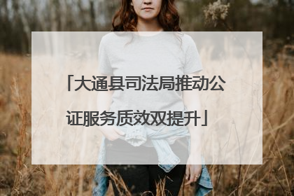 大通县司法局推动公证服务质效双提升