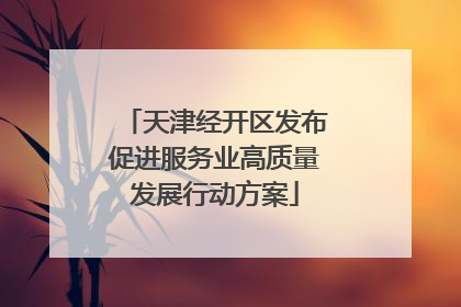 天津经开区发布促进服务业高质量发展行动方案