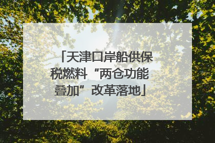天津口岸船供保税燃料“两仓功能叠加”改革落地