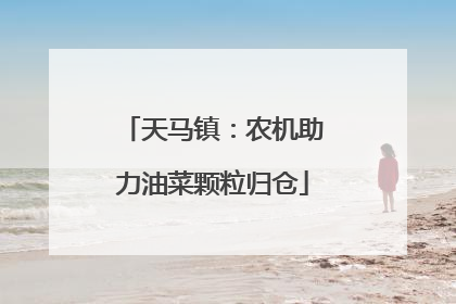 天马镇：农机助力油菜颗粒归仓