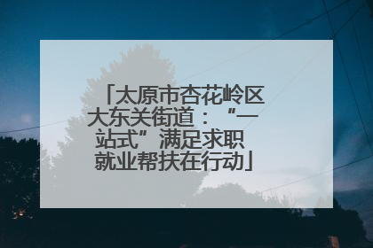 太原市杏花岭区大东关街道：“一站式”满足求职 就业帮扶在行动