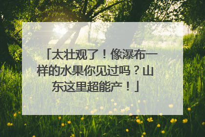 太壮观了！像瀑布一样的水果你见过吗？山东这里超能产！