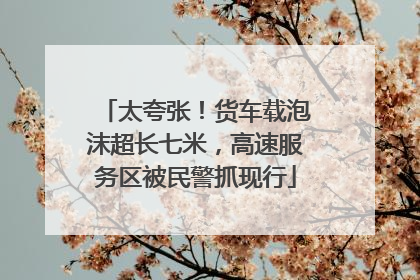 太夸张！货车载泡沫超长七米，高速服务区被民警抓现行