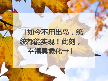 如今不用出岛，统统都能实现！此刻，幸福具象化→