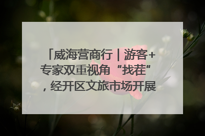 威海营商行｜游客+专家双重视角“找茬”，经开区文旅市场开展暑期前“体检”
