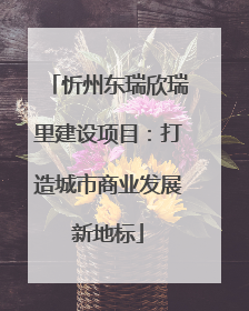 忻州东瑞欣瑞里建设项目：打造城市商业发展新地标