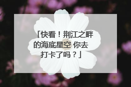 快看！荆江之畔的海底星空 你去打卡了吗？
