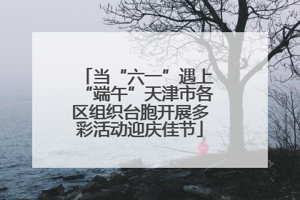 当“六一”遇上“端午”天津市各区组织台胞开展多彩活动迎庆佳节