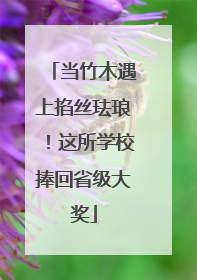 当竹木遇上掐丝珐琅！这所学校捧回省级大奖